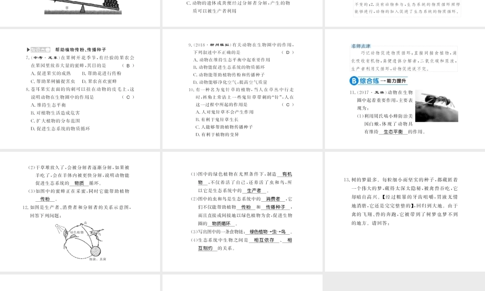 八年级生物上册 第五单元 第3章 动物在生物圈中的作用习题课件 （新版）新人教版-（新版）新人教级上册生物课件