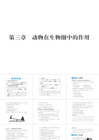 八年级生物上册 第五单元 第3章 动物在生物圈中的作用习题课件 （新版）新人教版-（新版）新人教级上册生物课件