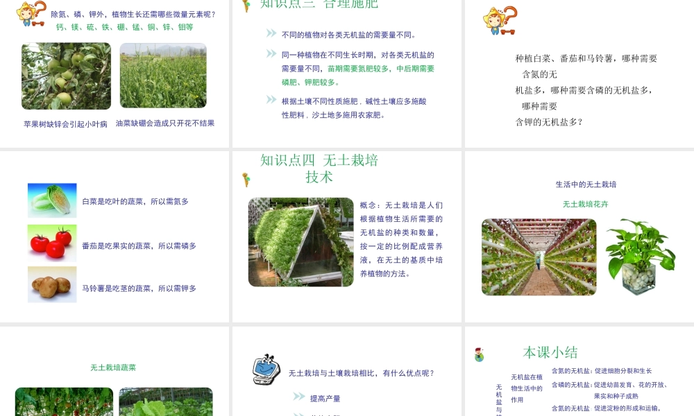 八年级生物上册 第三单元 第二章 第3节《无机盐和植物的生长》课件2 （新版）冀教版-（新版）冀教版初中八年级上册生物课件