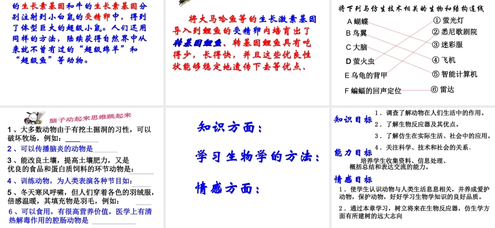 八年级生物上册 第5单元 第3章 动物在生物圈中的作用 第二节 动物与人类生活的关系课件2 新人教版