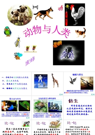 八年级生物上册 第5单元 第3章 动物在生物圈中的作用 第二节 动物与人类生活的关系课件2 新人教版