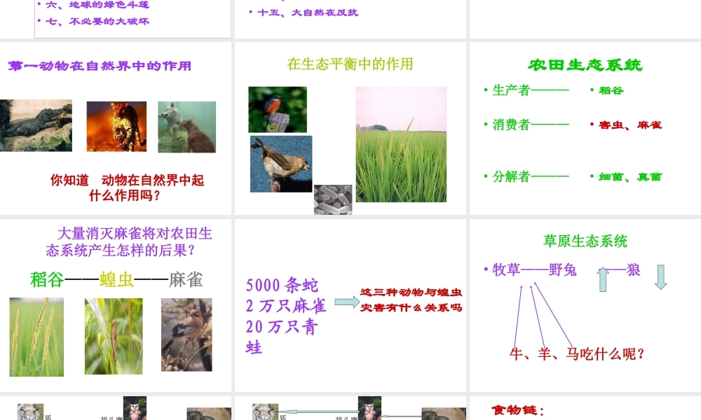 八年级生物上册 第5单元 第3章 动物在生物圈中的作用 第一节 动物在自然界中的作用课件1 新人教版