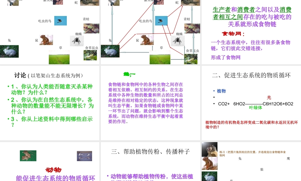 八年级生物上册 第5单元 第3章 动物在生物圈中的作用 第一节 动物在自然界中的作用课件1 新人教版