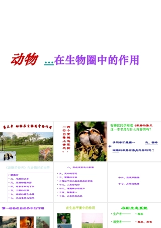 八年级生物上册 第5单元 第3章 动物在生物圈中的作用 第一节 动物在自然界中的作用课件1 新人教版