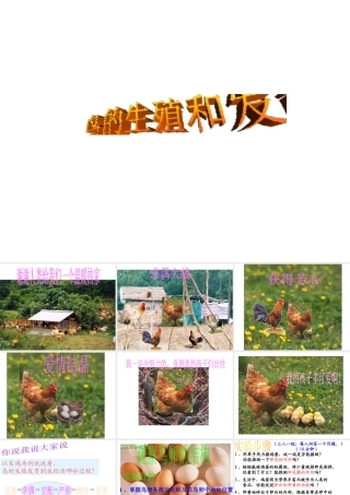 八年级生物上册 第七单元 第一章 第四节 鸟的生殖和发育课件 新人教版