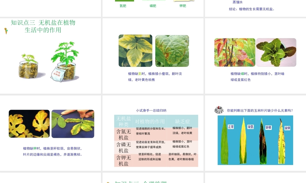 八年级生物上册 第三单元 第二章 第3节《无机盐和植物的生长》课件2 （新版）冀教版-（新版）冀教级上册生物课件