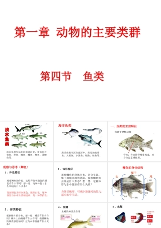 八年级生物上册 第七单元 第一章 第四节 鱼类课件 鲁科版五四制-鲁科级上册生物课件