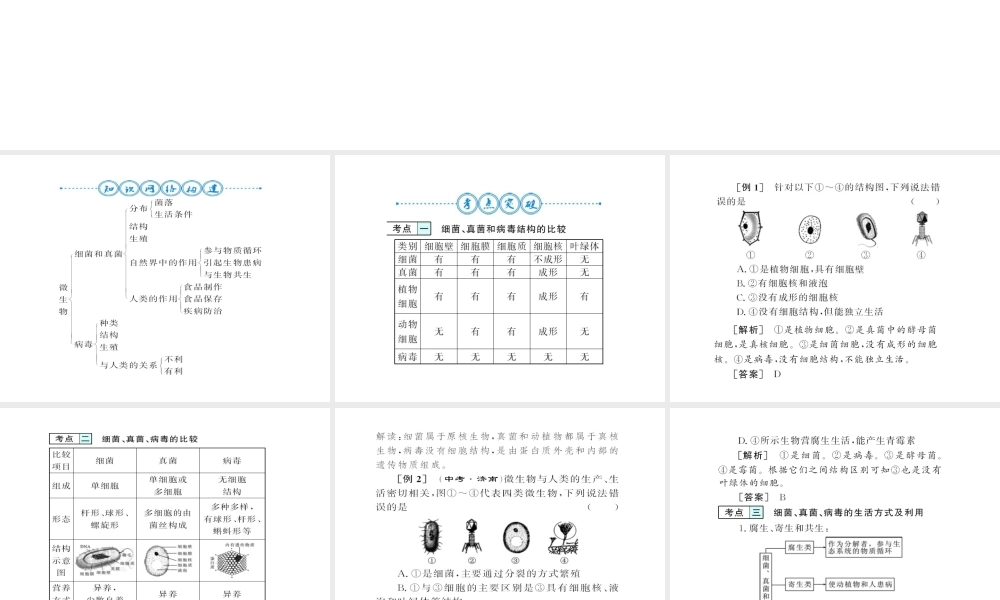 八年级生物上册 第五单元 第4-5章自主复习习题课件 （新版）新人教版-（新版）新人教版初中八年级上册生物课件