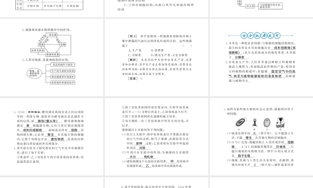 八年级生物上册 第五单元 第4-5章自主复习习题课件 （新版）新人教版-（新版）新人教版初中八年级上册生物课件