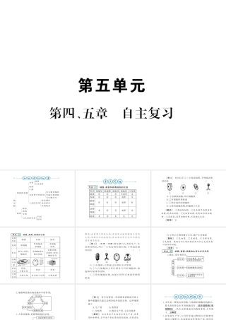 八年级生物上册 第五单元 第4-5章自主复习习题课件 （新版）新人教版-（新版）新人教版初中八年级上册生物课件