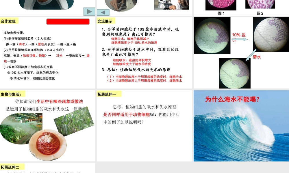 八年级生物上册 第三单元 第二章 第二节 根对水分的吸收课件 （新版）冀教版-（新版）冀教版初中八年级上册生物课件