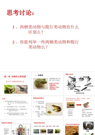 八年级生物上册 第七单元 第一章 第五节 两栖类和爬行类课件 鲁科版五四制-鲁科版初中八年级上册生物课件