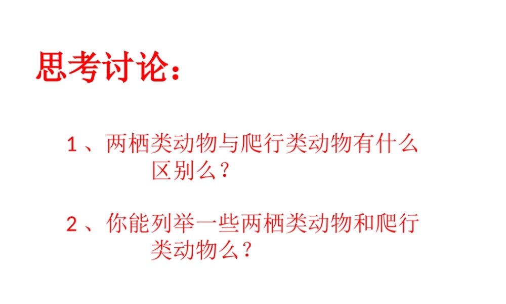 八年级生物上册 第七单元 第一章 第五节 两栖类和爬行类课件 鲁科版五四制-鲁科级上册生物课件