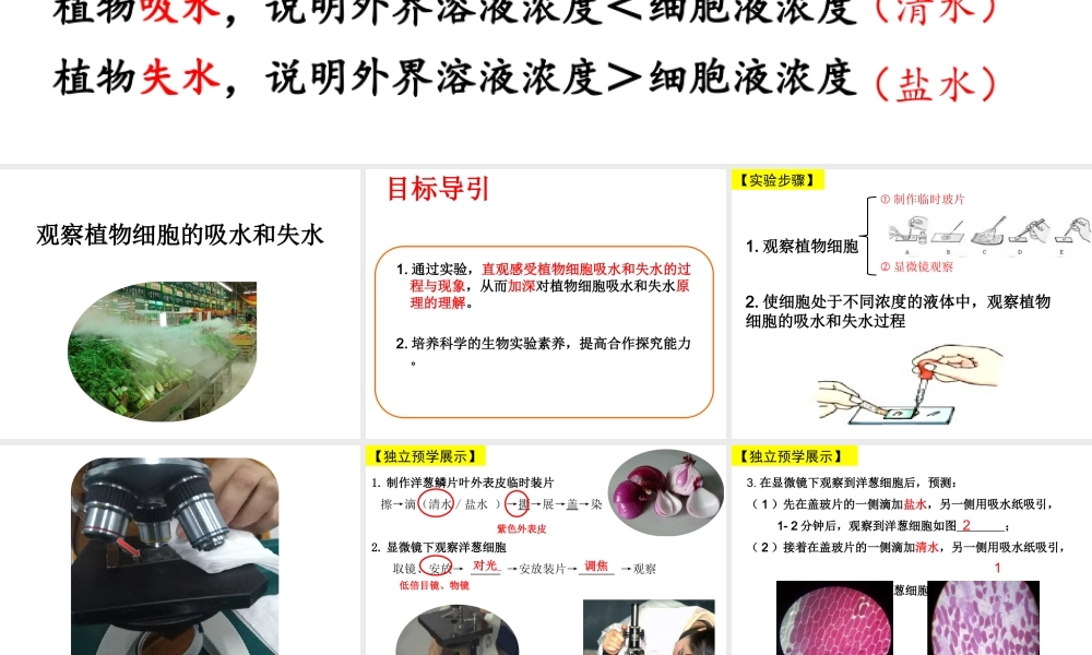 八年级生物上册 第三单元 第二章 第二节 根对水分的吸收课件 （新版）冀教版-（新版）冀教级上册生物课件