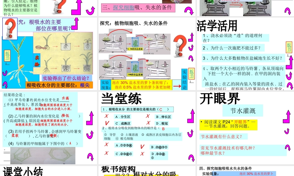 八年级生物上册 第三单元 第二章 第二节 根对水分的吸收课件 冀教版-冀教版初中八年级上册生物课件