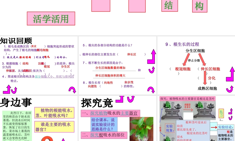 八年级生物上册 第三单元 第二章 第二节 根对水分的吸收课件 冀教版-冀教级上册生物课件