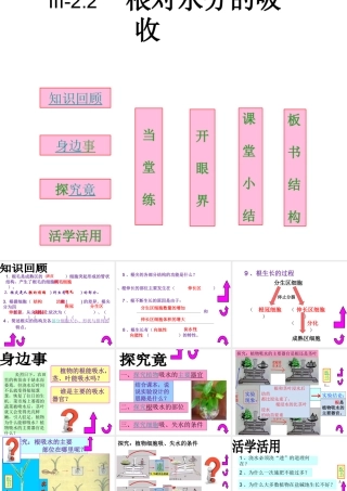 八年级生物上册 第三单元 第二章 第二节 根对水分的吸收课件 冀教版-冀教级上册生物课件