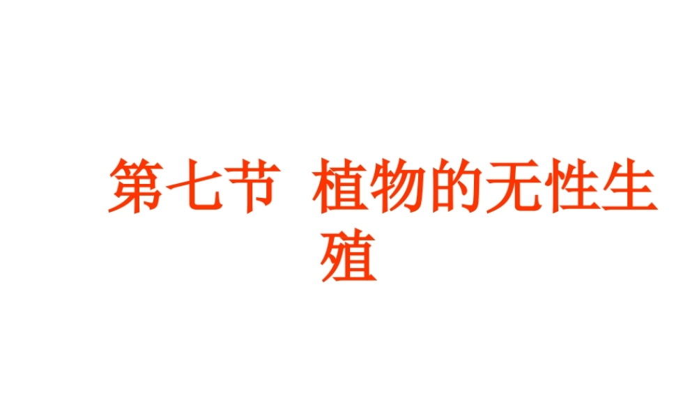 八年级生物上册 第七节 植物的无性生殖课件 济南版