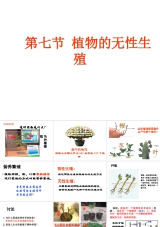 八年级生物上册 第七节 植物的无性生殖课件 济南版
