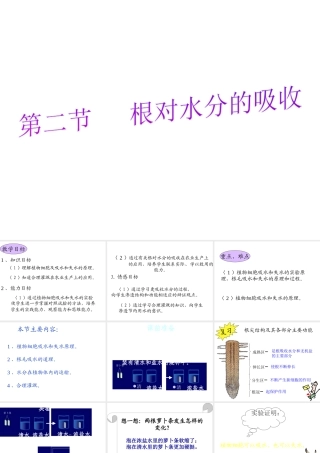 八年级生物上册 第三单元 第二章 第二节 根对水分的吸收课件 冀少版-人教版初中八年级上册生物课件