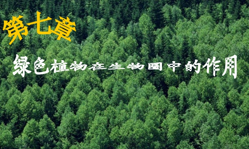 八年级生物上册 第七章《绿了植物在生物圈中的作用》课件 冀教版