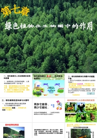 八年级生物上册 第七章《绿了植物在生物圈中的作用》课件 冀教版