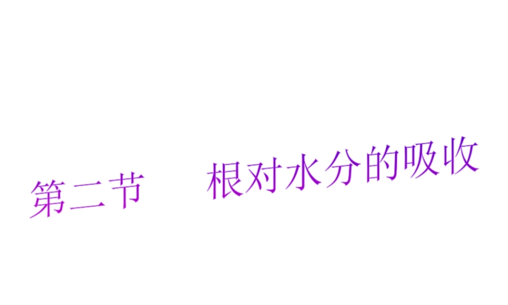 八年级生物上册 第三单元 第二章 第二节 根对水分的吸收课件 冀少版-人教级上册生物课件