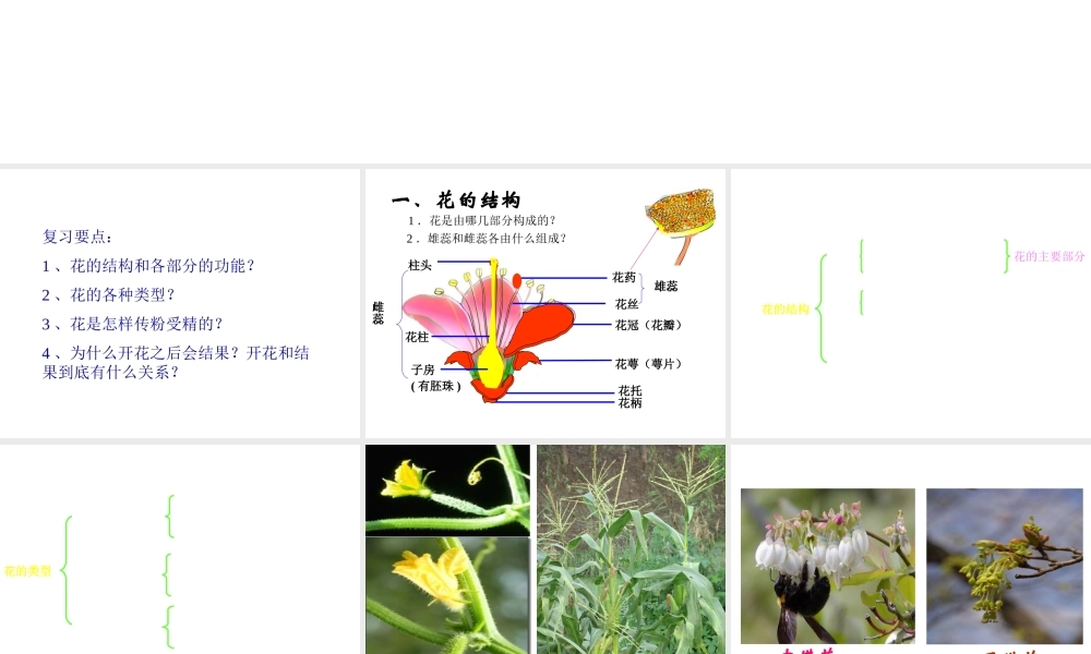 八年级生物上册 第七章《绿了植物在生物圈中的作用》课件1 冀教版
