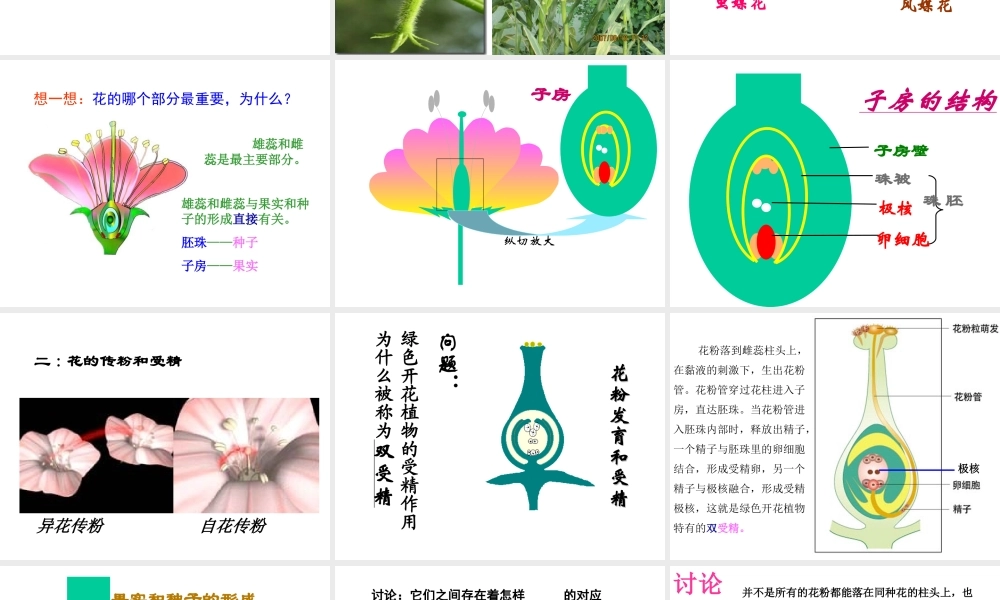 八年级生物上册 第七章《绿了植物在生物圈中的作用》课件1 冀教版