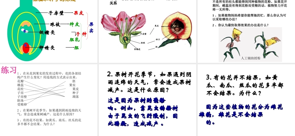 八年级生物上册 第七章《绿了植物在生物圈中的作用》课件1 冀教版