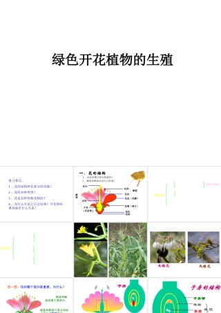 八年级生物上册 第七章《绿了植物在生物圈中的作用》课件1 冀教版