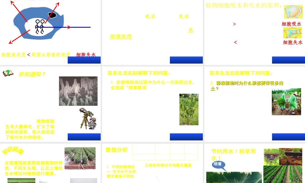 八年级生物上册 第三单元 第二章 第二节根对水分的吸收课件 （新版）冀教版-（新版）冀教版初中八年级上册生物课件