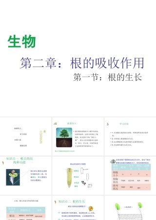 八年级生物上册 第三单元 第二章 第1节《根的生长》课件1 （新版）冀教版-（新版）冀教版初中八年级上册生物课件