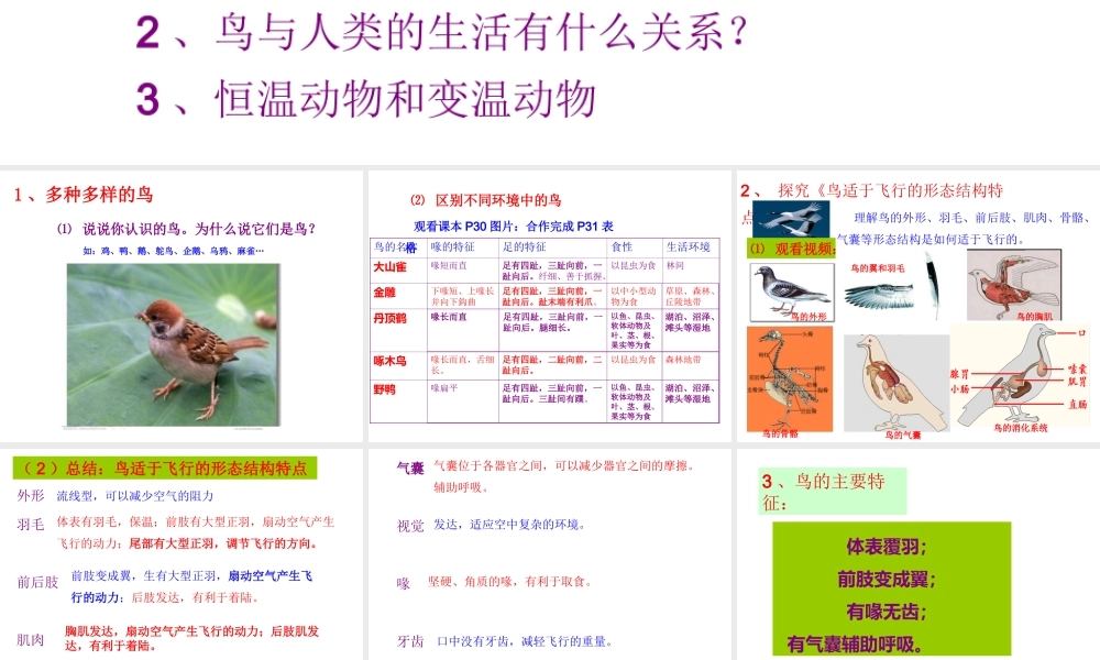 八年级生物上册 第五单元 第一章 第六节 鸟课件 （新版）新人教版