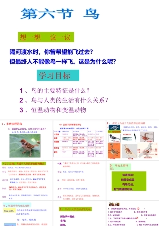 八年级生物上册 第五单元 第一章 第六节 鸟课件 （新版）新人教版