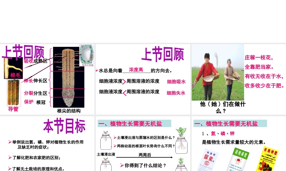 八年级生物上册 第三单元 第二章 第三节 无机盐与植物的生长课件 冀少版-人教版初中八年级上册生物课件