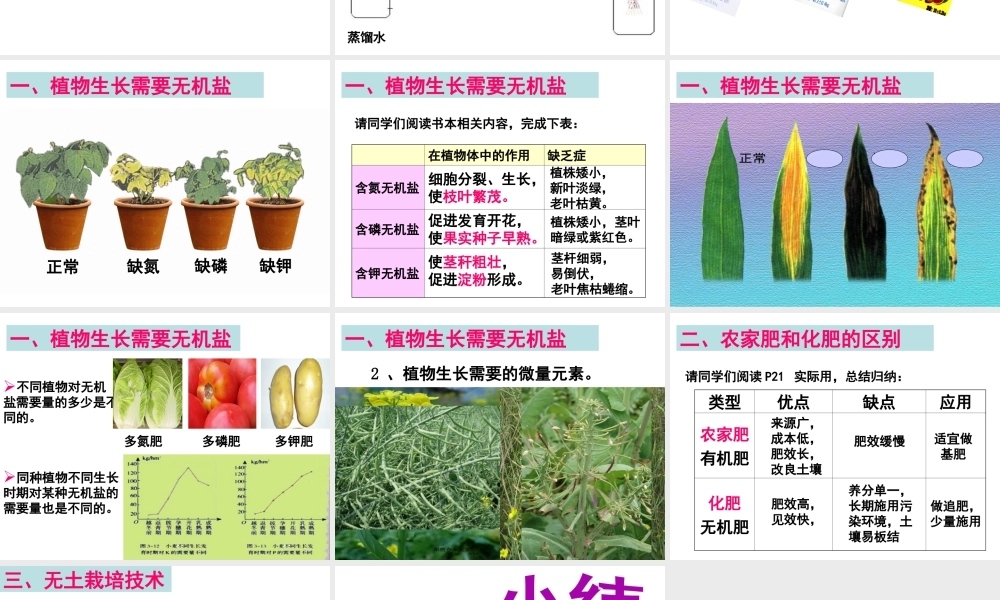 八年级生物上册 第三单元 第二章 第三节 无机盐与植物的生长课件 冀少版-人教版初中八年级上册生物课件