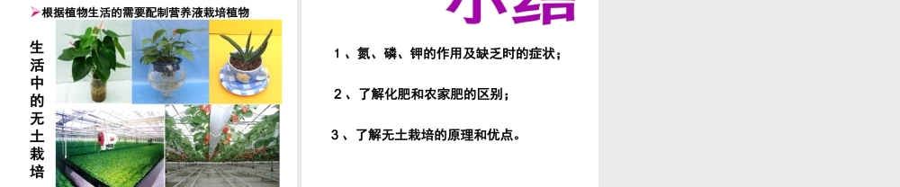 八年级生物上册 第三单元 第二章 第三节 无机盐与植物的生长课件 冀少版-人教级上册生物课件
