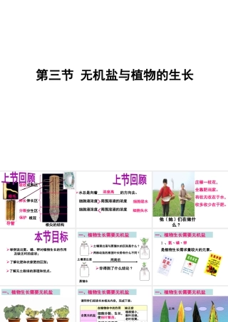 八年级生物上册 第三单元 第二章 第三节 无机盐与植物的生长课件 冀少版-人教级上册生物课件