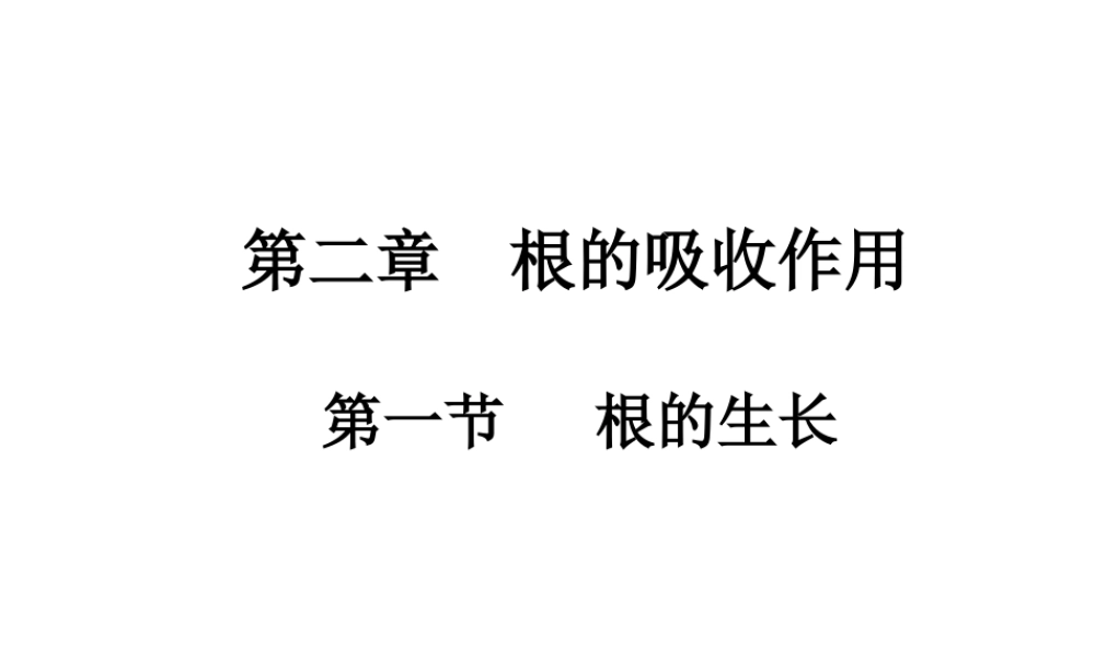 八年级生物上册 第三单元 第二章 第一节 根的生长课件 （新版）冀教版-（新版）冀教级上册生物课件