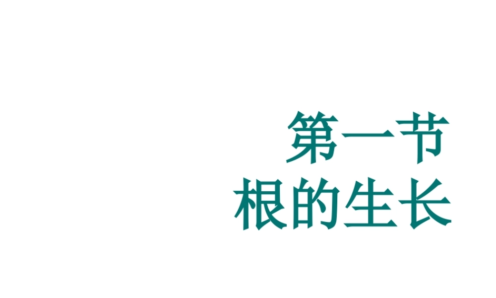 八年级生物上册 第三单元 第二章 第一节 根的生长课件 冀少版-人教版初中八年级上册生物课件