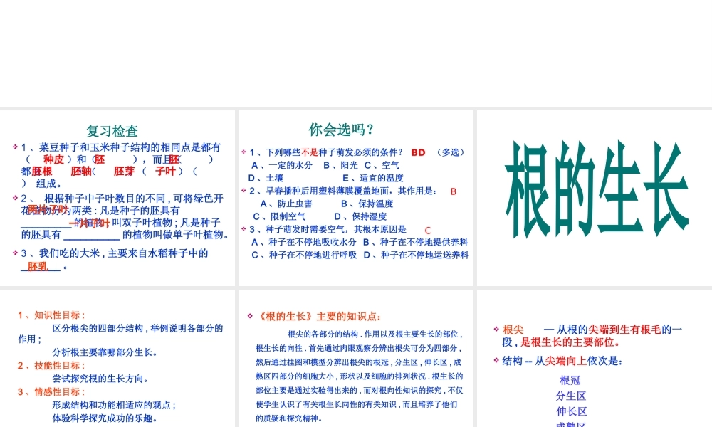 八年级生物上册 第三单元 第二章 第一节 根的生长课件 冀少版-人教版初中八年级上册生物课件