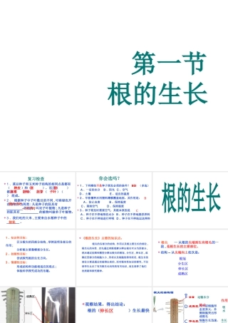 八年级生物上册 第三单元 第二章 第一节 根的生长课件 冀少版-人教版初中八年级上册生物课件