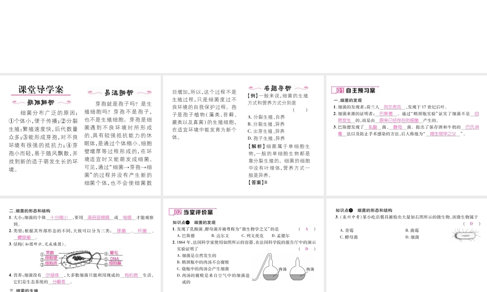 八年级生物上册 第五单元 第4章 第二节 细菌课件 （新版）新人教版-（新版）新人教版初中八年级上册生物课件