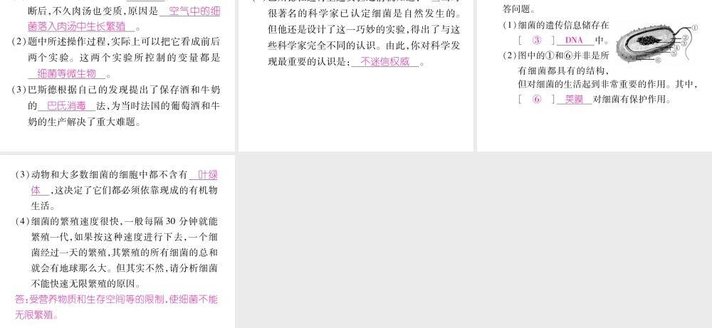 八年级生物上册 第五单元 第4章 第二节 细菌课件 （新版）新人教版-（新版）新人教版初中八年级上册生物课件