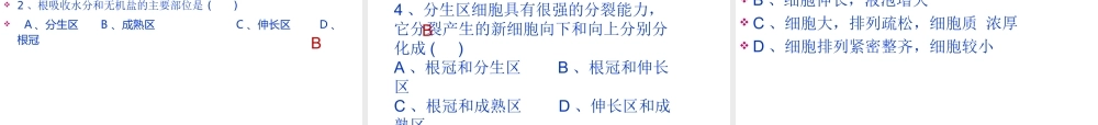 八年级生物上册 第三单元 第二章 第一节根的生长课件 （新版）冀教版-（新版）冀教级上册生物课件
