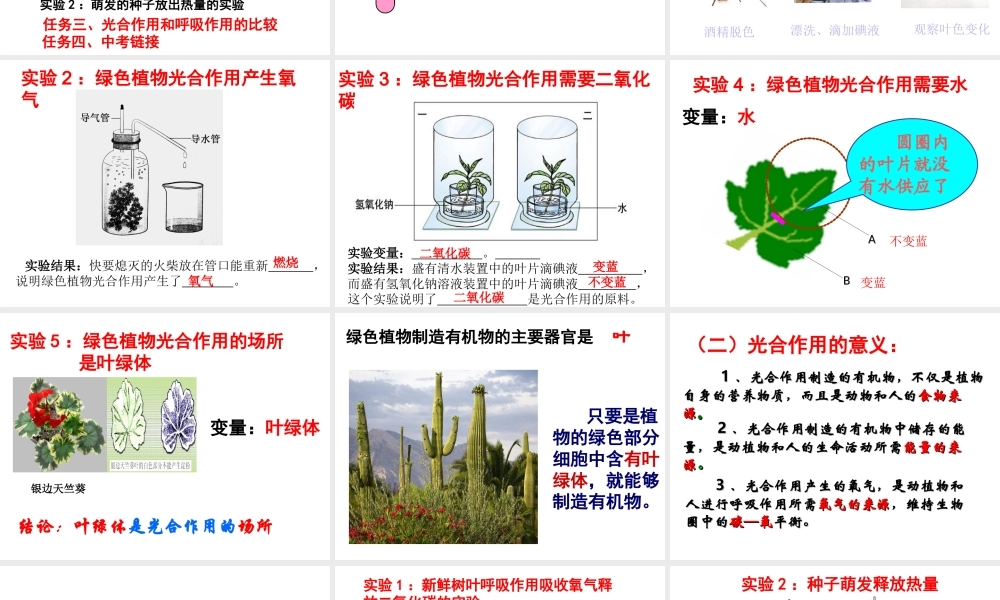 八年级生物上册 第三单元 第四章 第1节 呼吸作用课件 （新版）冀教版-（新版）冀教版初中八年级上册生物课件
