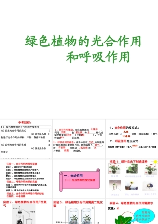 八年级生物上册 第三单元 第四章 第1节 呼吸作用课件 （新版）冀教版-（新版）冀教版初中八年级上册生物课件