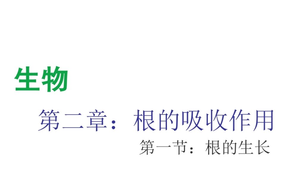 八年级生物上册 第三单元 第二章 第1节《根的生长》课件2 （新版）冀教版-（新版）冀教级上册生物课件