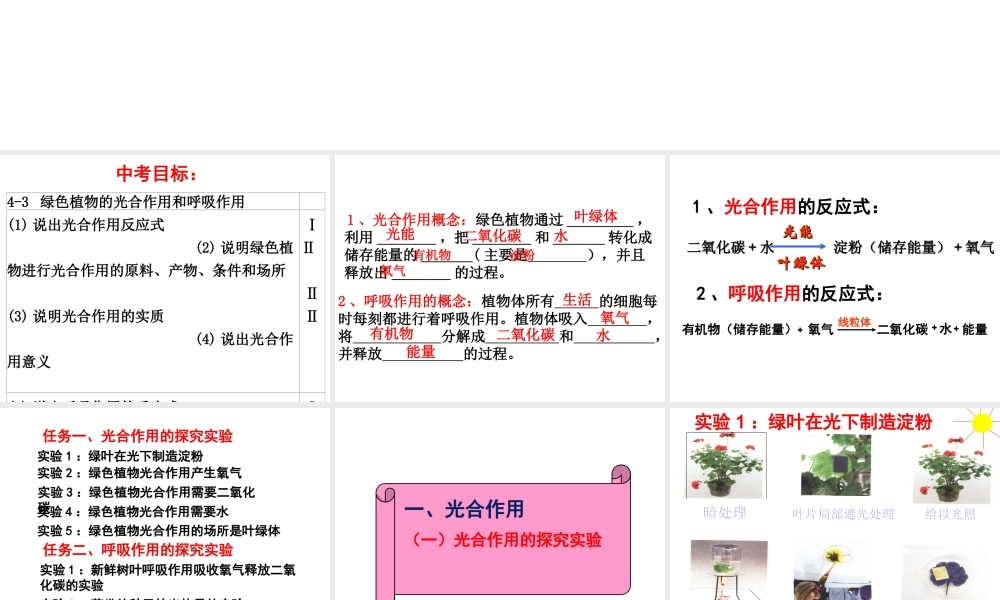 八年级生物上册 第三单元 第四章 第1节 呼吸作用课件 （新版）冀教版-（新版）冀教级上册生物课件
